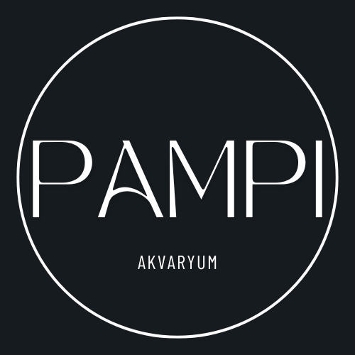 Pampi Akvaryum